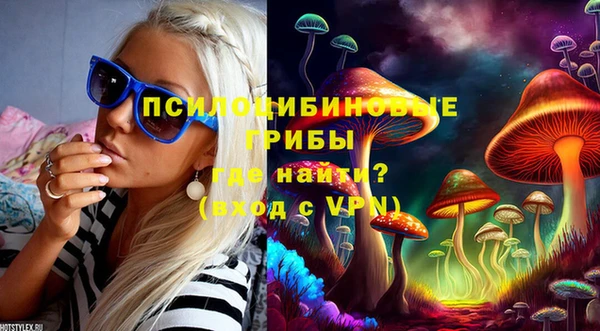 mix Алексин