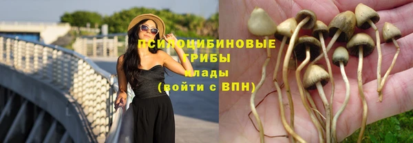 винт Алзамай