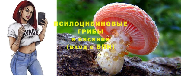 дурь Абинск
