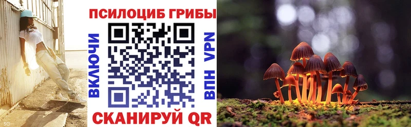 продажа наркотиков  Емва  Галлюциногенные грибы Psilocybine cubensis 